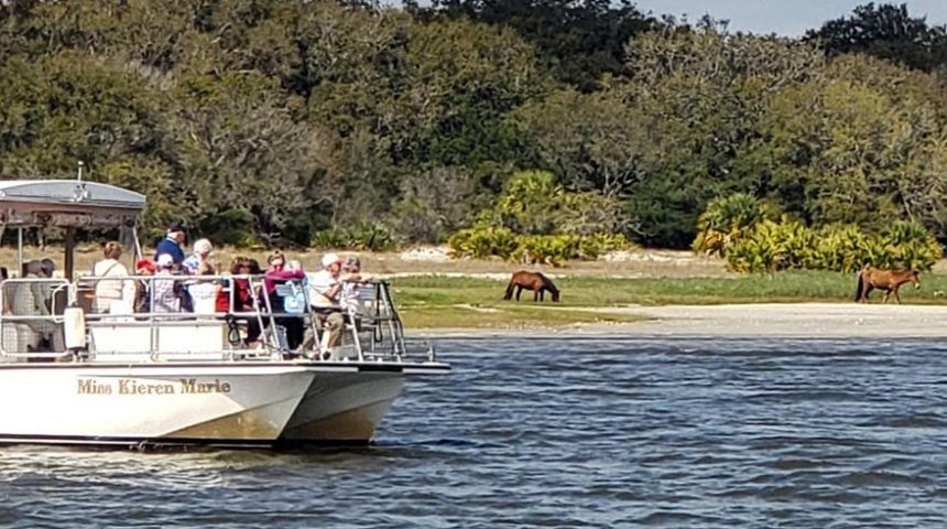 Wild horses on Cumberland Island can be seen from the Amelia River Cruise