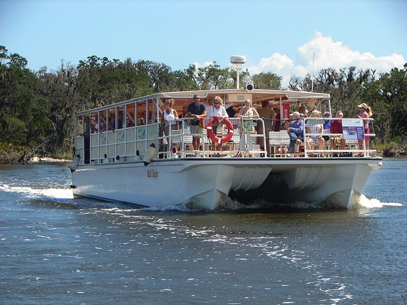 Bald Eagle - Amelia River Cruises