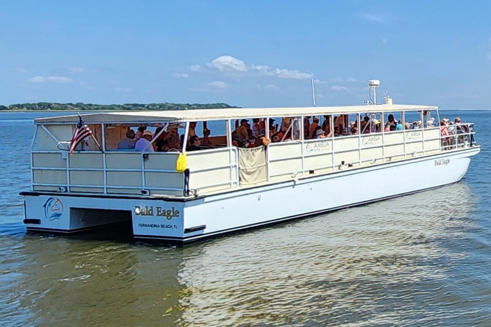 bald-eagle-new-logo3