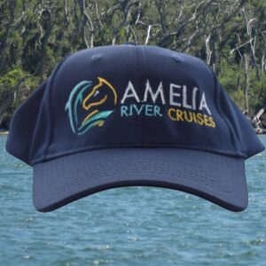 navy comfort fit cap