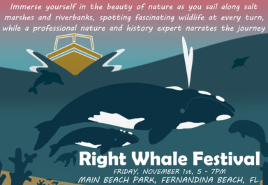 right Whale Facebook ad for fundraising Amelia River cruise