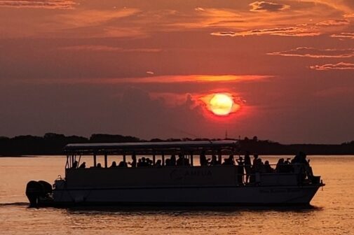 Sunset on amelia river cruise