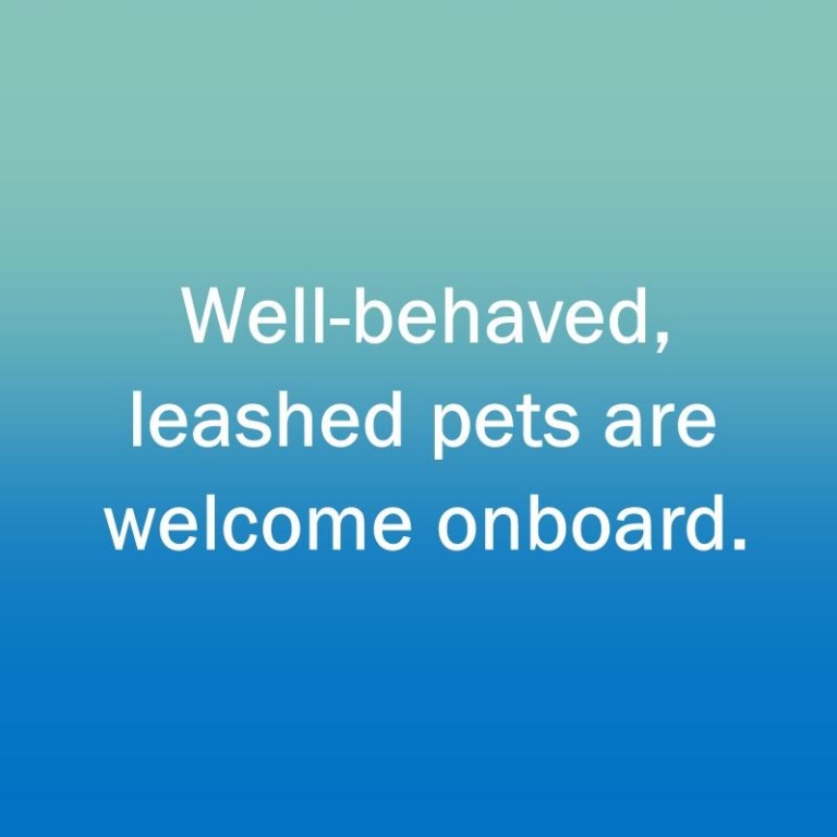 well behaved and leashed pets are welcome on Amelia River Cruises