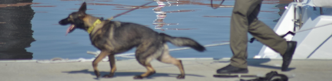 Guardians of the Waterways: National Security Dogs