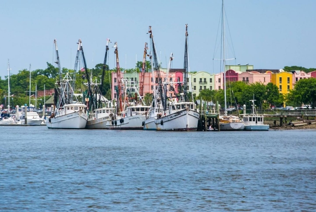 Amelia River Cruises Views1206