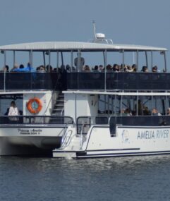 princess-amelia-river-crusies-history tour