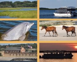 amelia island boat tour