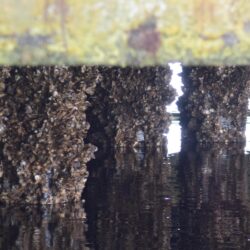 poorly maintained structure over the water