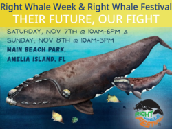 2026 right whale poster